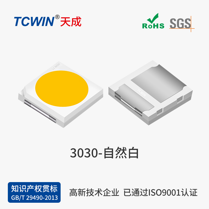 3030經(jīng)濟版 白光100-110lm 6V
